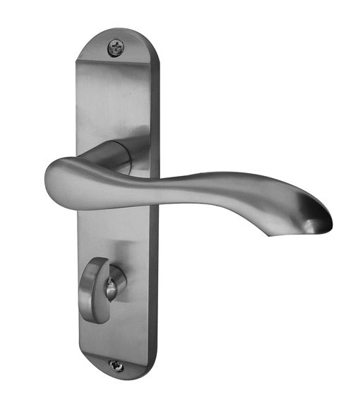 Broadway Lever on Backplate